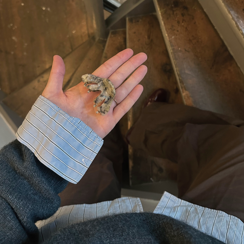 The Charmer - Frosted Marble