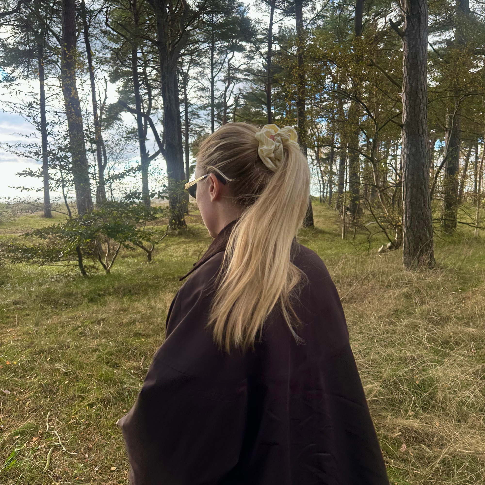 The Muse - Checkmate Honey